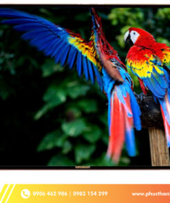 tivi cường lực Kuking 70 inch